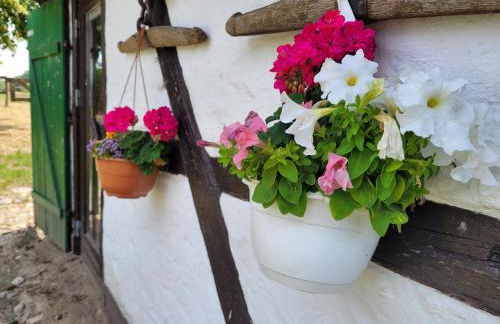 Ferienhof Schwalbennest OFC 24 - Foto 47