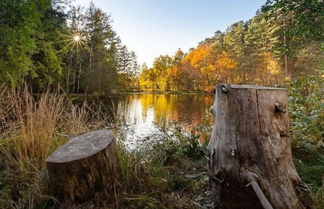 Holiday Apartment Rappenfels Lodge - Photo 10