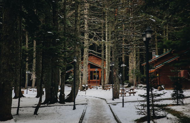 Karinna Forest Houses - Foto 1