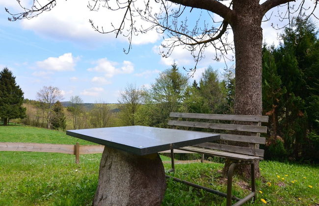 Small and Cozy Apartment in Frauenwald near Forest - Foto 15