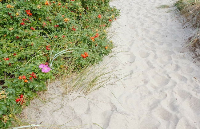 4 Person Holiday Home in Ugglarp - Foto 21