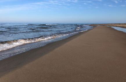 Feriendorf Rugana Insel Rügen Fewos Vogelgesang - Foto 27