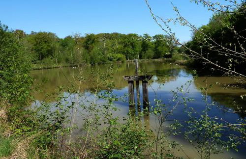 Château Le Brun - Loire Valley and vineyards - Foto 14