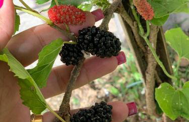 Casa com piscina, ar condicionado, campo de futebol e área gourmet a um quarteirão da lagoa de Praia Seca - Foto 43