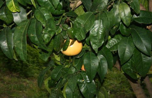 Agriturismo Cele - Foto 43