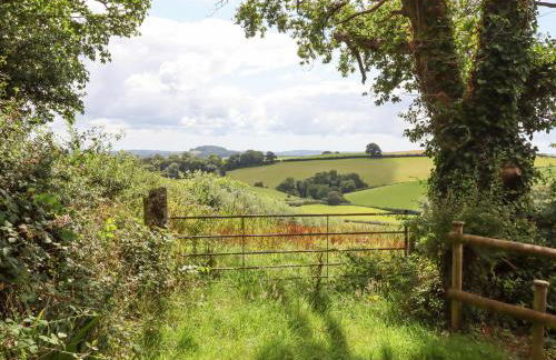 Hole Farm Stables - Foto 38