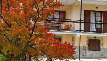 The House with the Hydrangeas - Foto 1, Garden