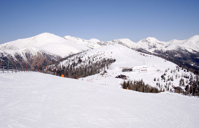 Cozy Apartment in Feld am See near Ski Slopes - Foto 34