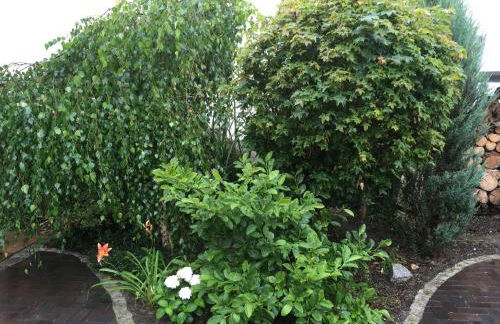 Appartment Maggy - Foto 8