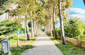 Charmant et cosy appartement à Créteil lac - Foto 32