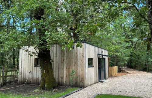 Studio en pleine nature ! - Foto 1