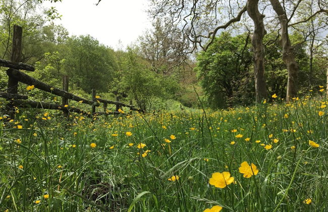 Agriturismo La Casina della Burraia - Photo 52