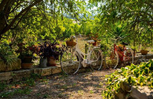 Ses Cases d'Alcudiola - Foto 65