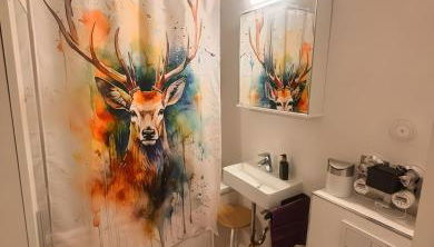 Über den Dächern von Aachen - Photo 4