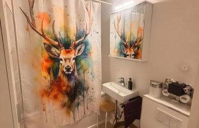 Über den Dächern von Aachen - Foto 4