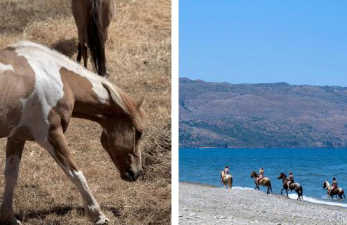 Amalthia Villa, Heated Pool & Walk to the Beach, By ThinkVilla - Photo 56