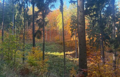 Bryziówka - Foto 13