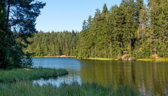 Familienwohnung im Vogtland - Foto 5