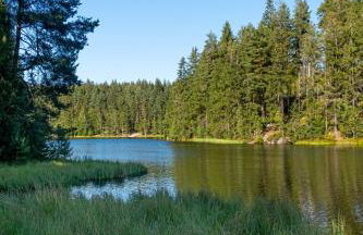 Familienwohnung im Vogtland - Foto 5