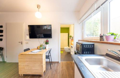 Ruhiges 1-Zi-Apartment, ideal für Kurzaufenthalt für bis zu 4 Personen - Foto 12