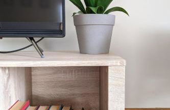 The Palm House - Foto 10