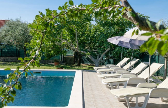 Villa Sabina - Breg Ivanovci - Foto 30