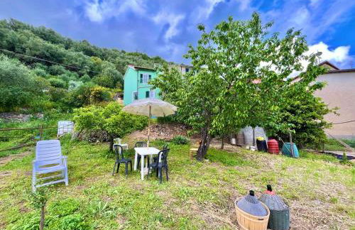 [AC & Garden] Olive Grove Oasis - Foto 1