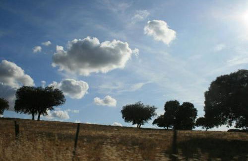 Herdade do Monte Outeiro - Turismo Rural - Foto 18