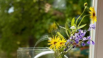Gutshaus Haidhof - Photo 4, Garden, Garden view