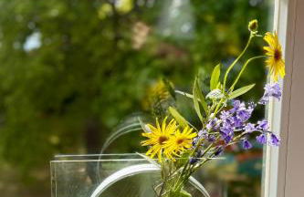 Gutshaus Haidhof - Foto 4