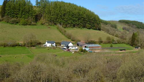 Snug Oak Hut with a view on a Welsh Hill Farm - Foto 2