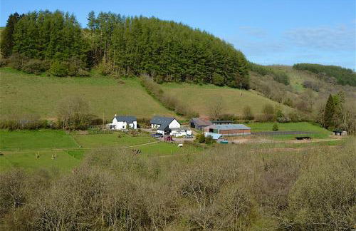 Snug Oak Hut with a view on a Welsh Hill Farm - Photo 2