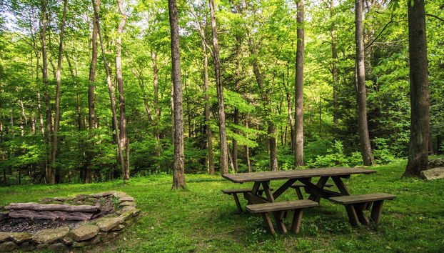 Bearbnb by Taylor Made Deep Creek - Foto 4, Servicios del alojamiento