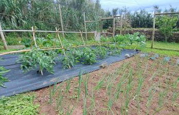 Fajã VinhaMar-Vinyard Cottage by the Sea - Foto 28