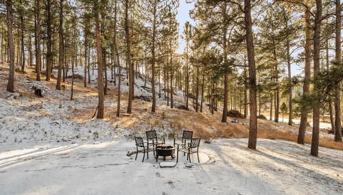 Elk Ridge Fire Place Custer - Foto 5