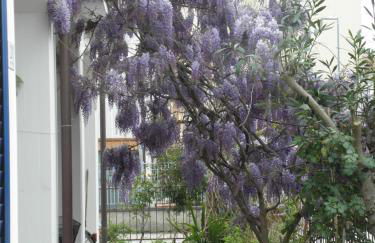 RITA'S ROOM ON THE SEA - Photo 4