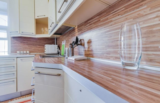 Ludwig Apartment at Pervaya Sovetskaya 8 - Foto 2