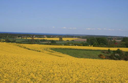 Idyllic Apartment in Bastorf With Balcony - Foto 38