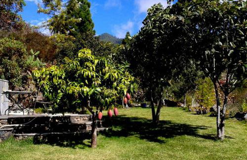 Villa Finca Tijarafe mit beheiztem, abdeckbarem Pool - Foto 42