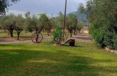 Ktimaoliva1 - Foto 31