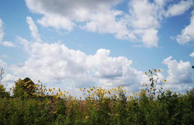 Na Chałupki - Foto 33