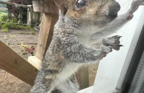 Peak Retreat - Foto 27