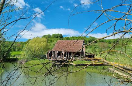 Kuća za odmor Bakina Divljaka - Foto 17