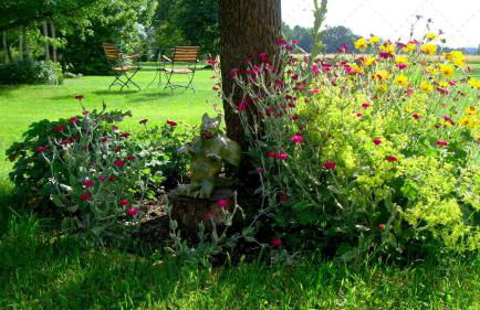 JANISCHs Fewo im Spreewald, Terrasse, großer Garten und Blick inklusive - Foto 13