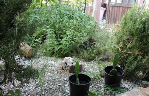 Cascina G appartamento tra i noccioli - Foto 31