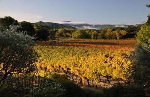 Maison Bijoux-de-Provence "Lavande" - Foto 38