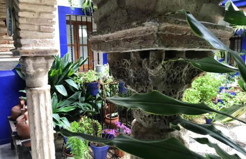 Alojamiento casa típica de Córdoba - Foto 24