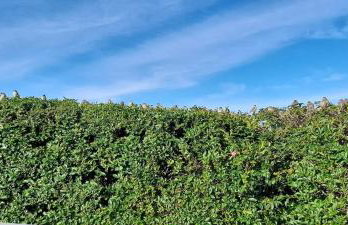 Sunnyside Cottage 2 Bedrooms 1 Bathroom 1 WC 2 Pets Welcome - Foto 41