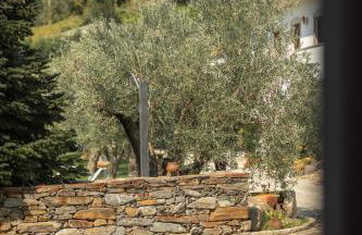 Quinta Madureira - Foto 28