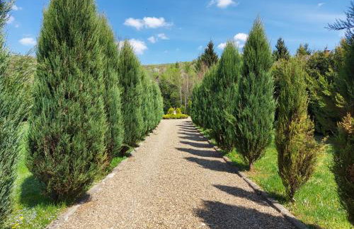 Bieszczadzki Dworek - Foto 8